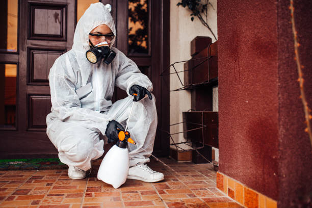 Attic and Crawl Space Rodent Treatment in Shoshone